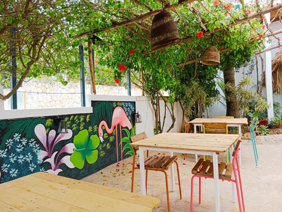 Tribe Inn Jungle & Flamingo Bayahíbe Exterior foto